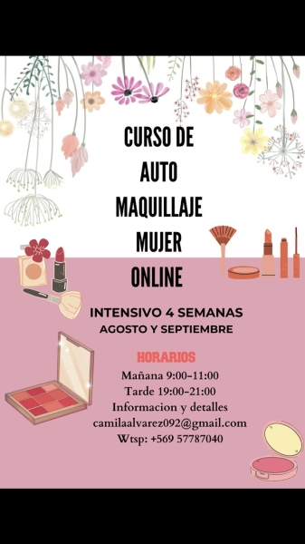 Clases Auto Maquillaje Mujer Social Clase Intensivas 4 seman