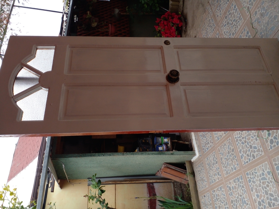 Vendo puerta 