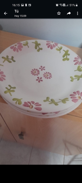 Platos grandes estilo bandejas modelo esclusivo