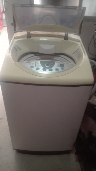 Labadora8.7 K. una joyita mademsa$,63000