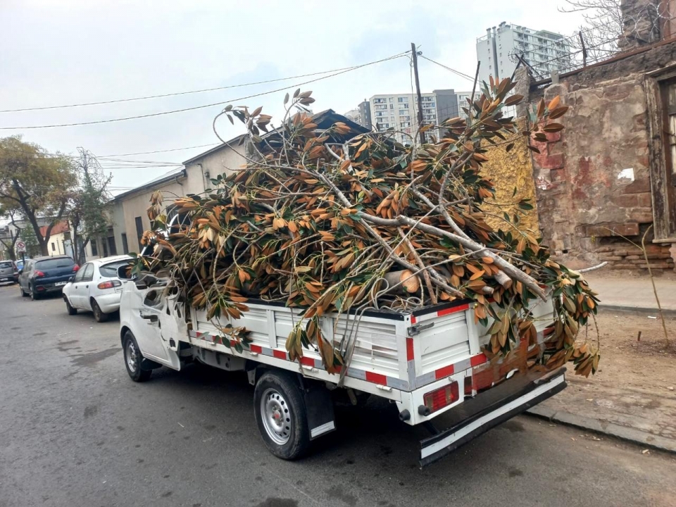 ???? Retiro de escombros y cachureos – Camión disponible